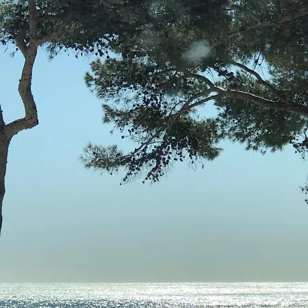 Baguier Mediterranee - Nature & Sea فيلة *
